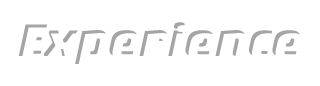 Experience